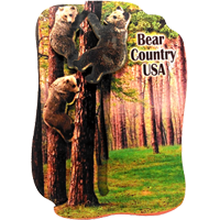 Bear Country USA Interactive Custom Magnet