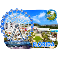 Florida State Ferris Wheel Interactive Magnet