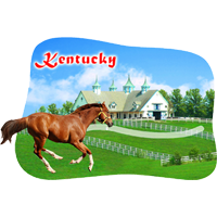 Kentucky Race Horse Breading Stables Interactive Magnet