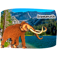 Mammoth National Park Wooly Mammoth Furry 3D Textured Magnet