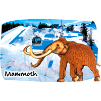 Mammoth Skiing Wooly Mammoth Furry 3D Textured Magnet