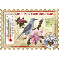 Arkansas State Stamp Magnet
