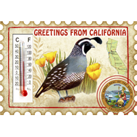 California State Stamp Magnet
