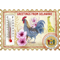 Deleware State Stamp Magnet